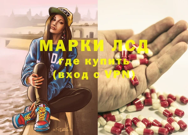 стафф Алзамай