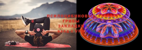 стафф Алзамай