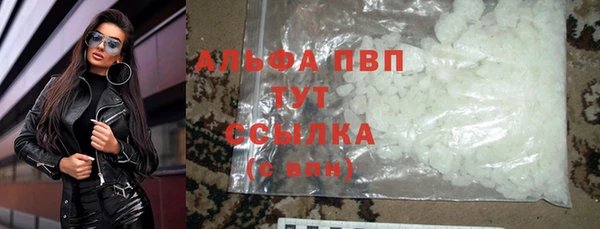 спиды Абаза