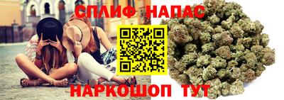 прущие грибы Тверь