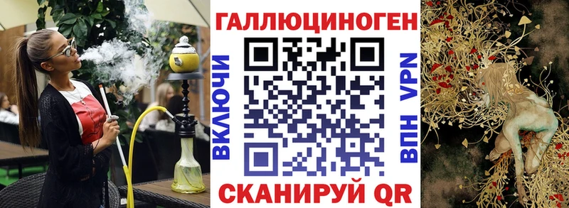 как найти закладки  Братск  Псилоцибиновые грибы GOLDEN TEACHER 